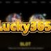 Lucky365