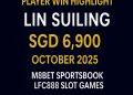 VWORLD 2.0 Player Lin Suiling