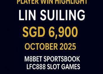 VWORLD 2.0 Player Lin Suiling