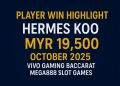 BK8 VIP Player Hermes Koo