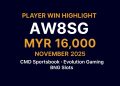 HENGONGBET VIP player AW8SG