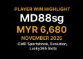 VWORLD VIP Player MD88sg