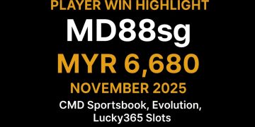 VWORLD VIP Player MD88sg